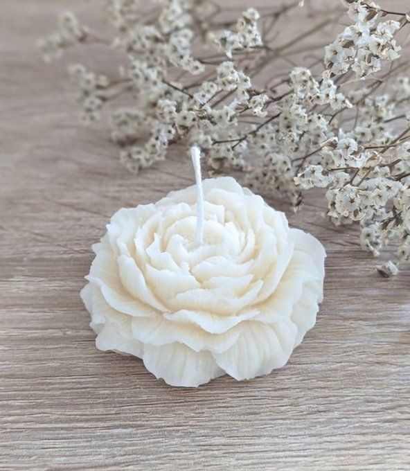 Bougie PIVOINE